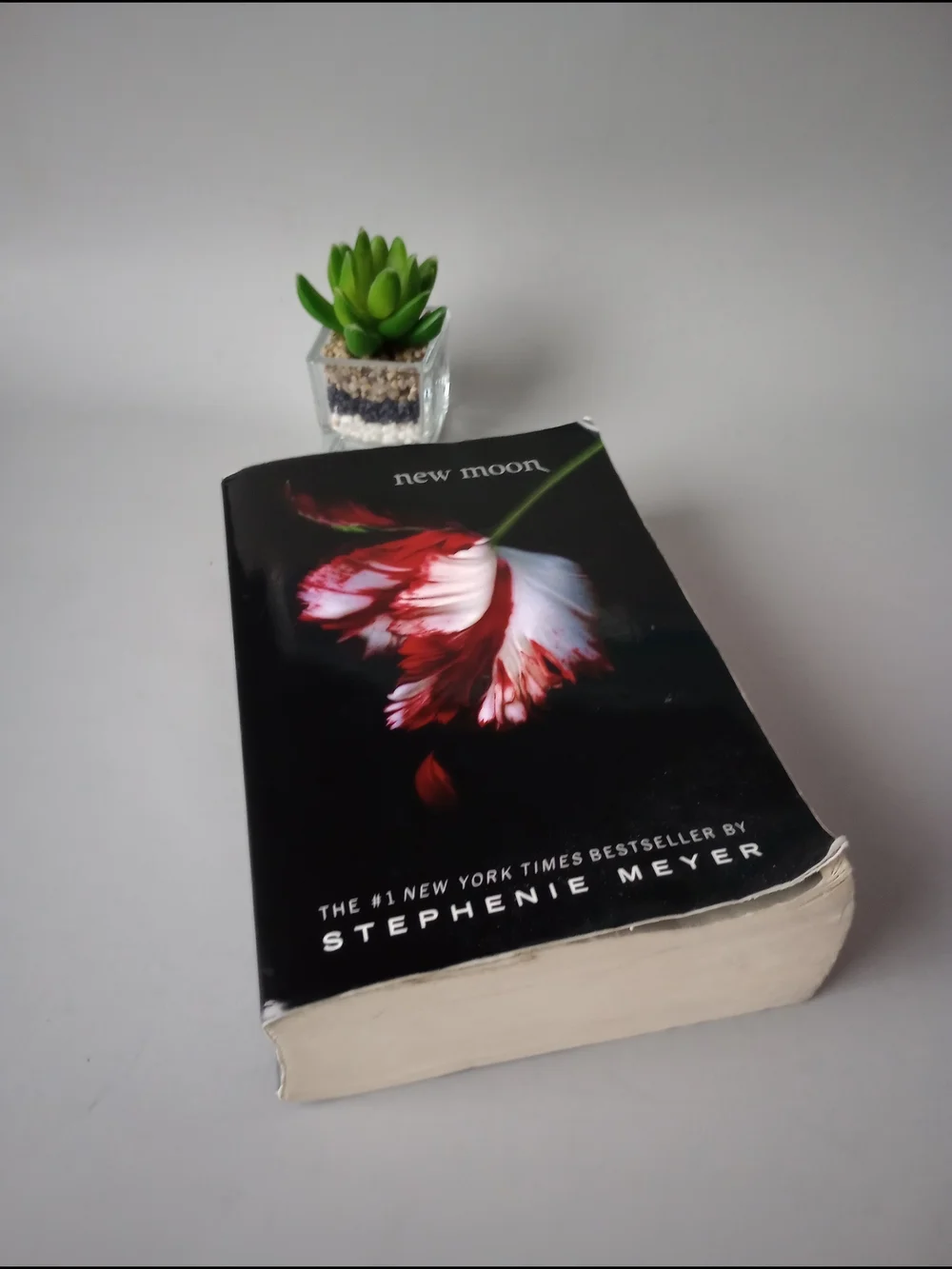The Twilight Saga New Moon by Stephenie Meyer 2008 Trade Paperback) Good Cond.